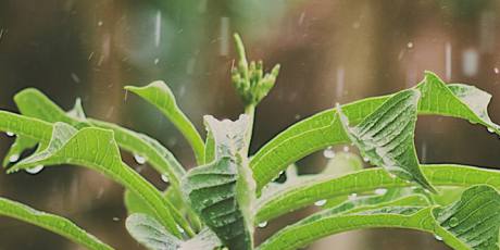 Odwodnienia działek